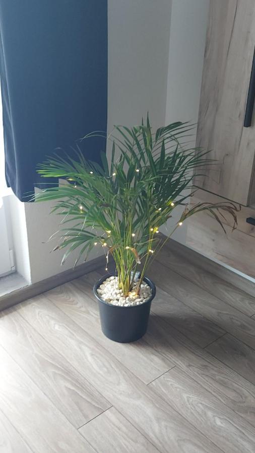 Apartament Antonias Făgăraş エクステリア 写真